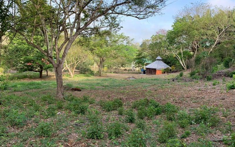 Gaia’s Way Estate Lot No. 6