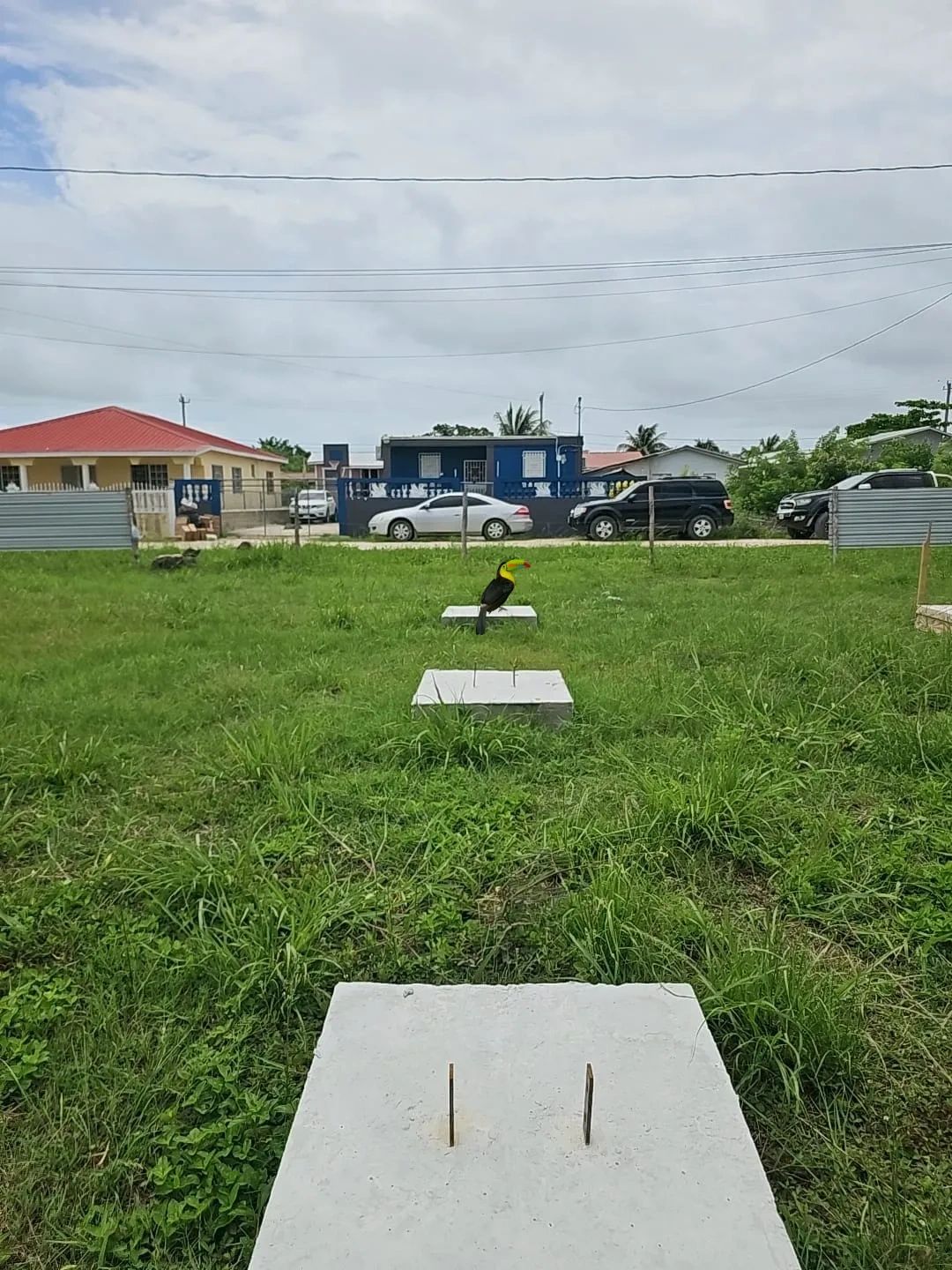 50' x 100' Residential Lot in Vista Del Mar / Ladyville Village.