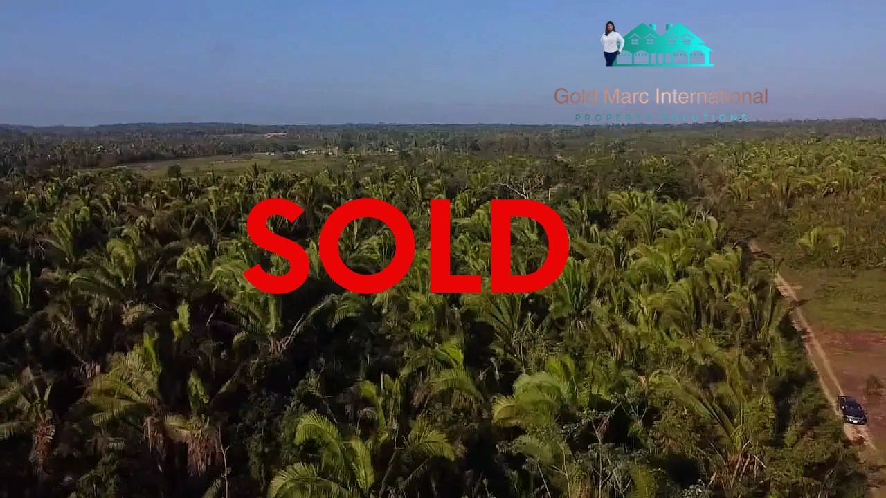 11.3 Acres plot, located in Rancho Delores