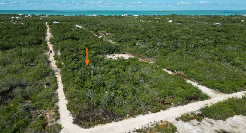 Grand Belizean Estates Parcel 7149 - Recently Reduced!