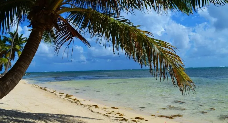 Habaneros Beachfront