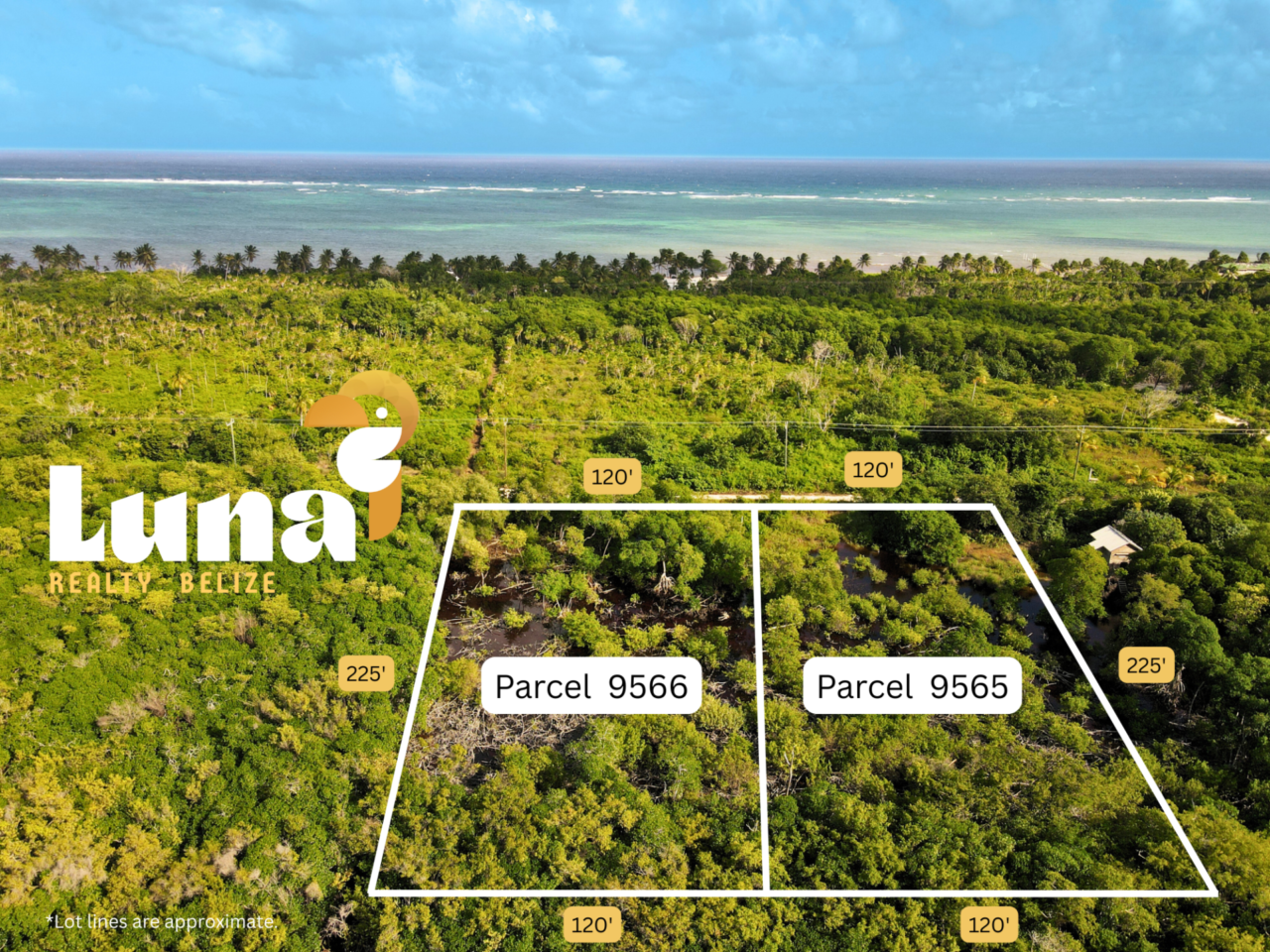 Habaneros Land with Road & Electricity – Parcel 9565 – 4 Rows from Caribbean