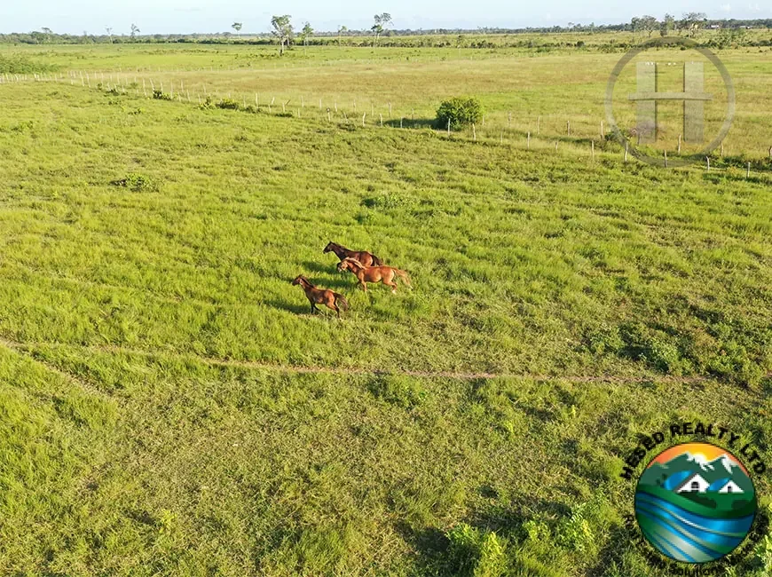 125-Acre Working Cattle Ranch with Pig Pens and Caretaker's House, Orange Walk