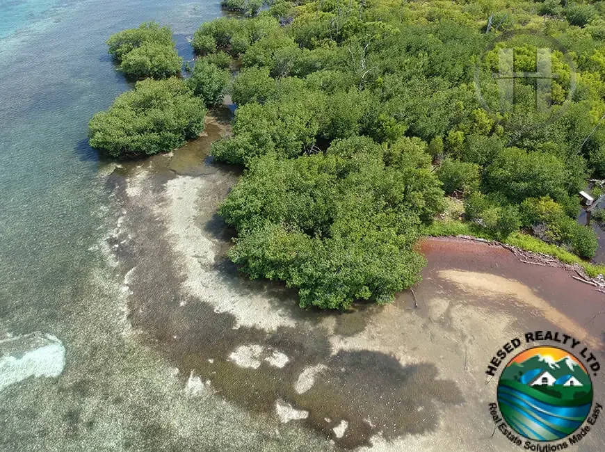 Spider Caye – 0.98-Acre Untouched Private Island 3 Miles from the Barrier Reef, Southern Belize
