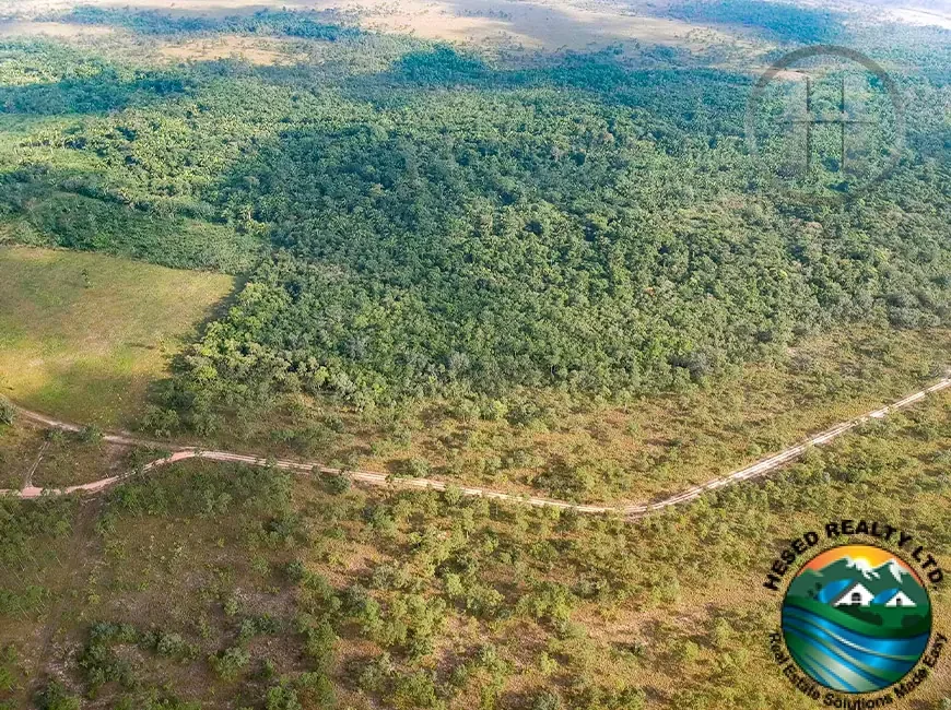 28-Acre Fertile Black-Soil Land Near Jenkins Creek, Stann Creek District
