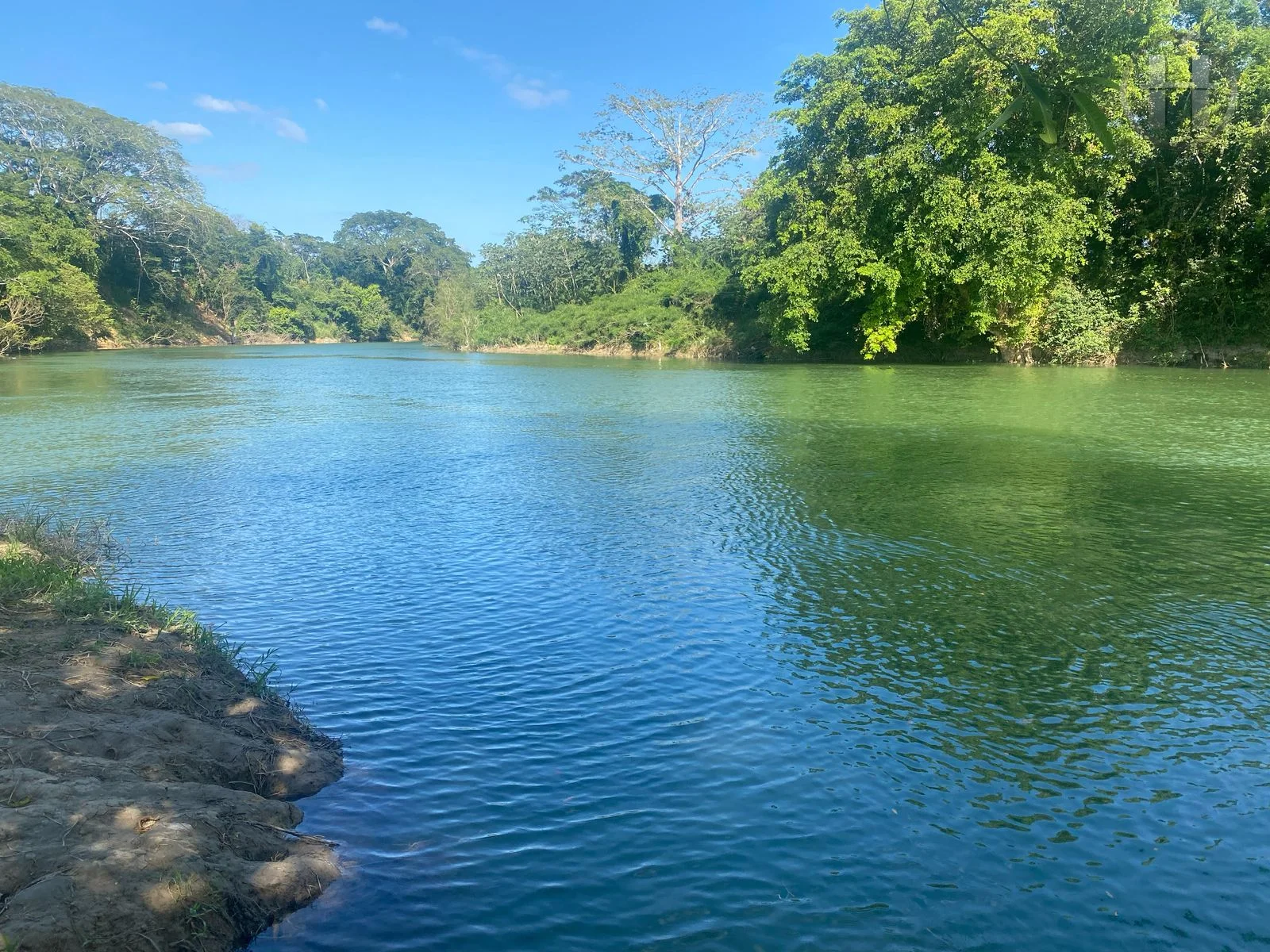 3.9-Acre Riverfront Land with 300 Ft of Belize River Frontage, Santa Familia, Cayo
