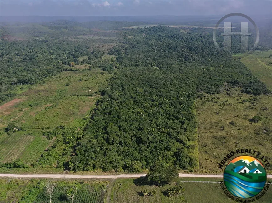 50 Acres For Sale near Valley of Peace, Cayo District
