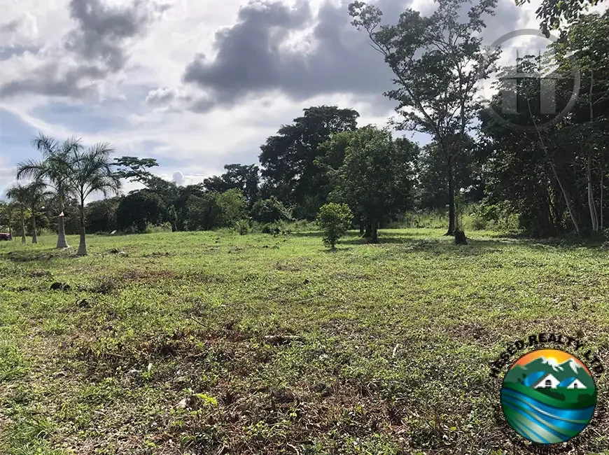 1.5-Acre Creekside Lot in Salvapan, Belmopan