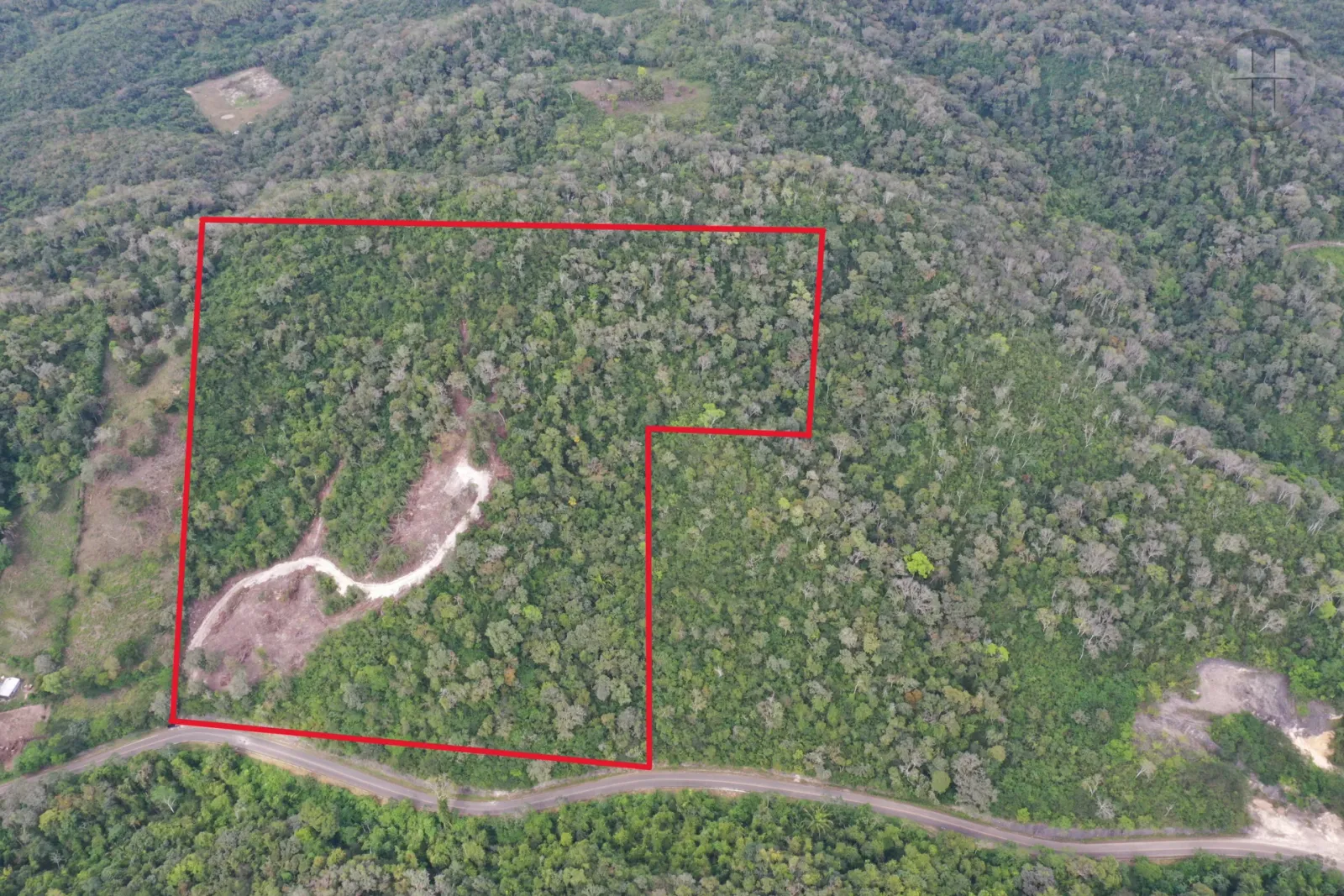 46.7-Acre Rolling Jungle Land with 780 Ft Highway Frontage Near Cristo Rey, Cayo