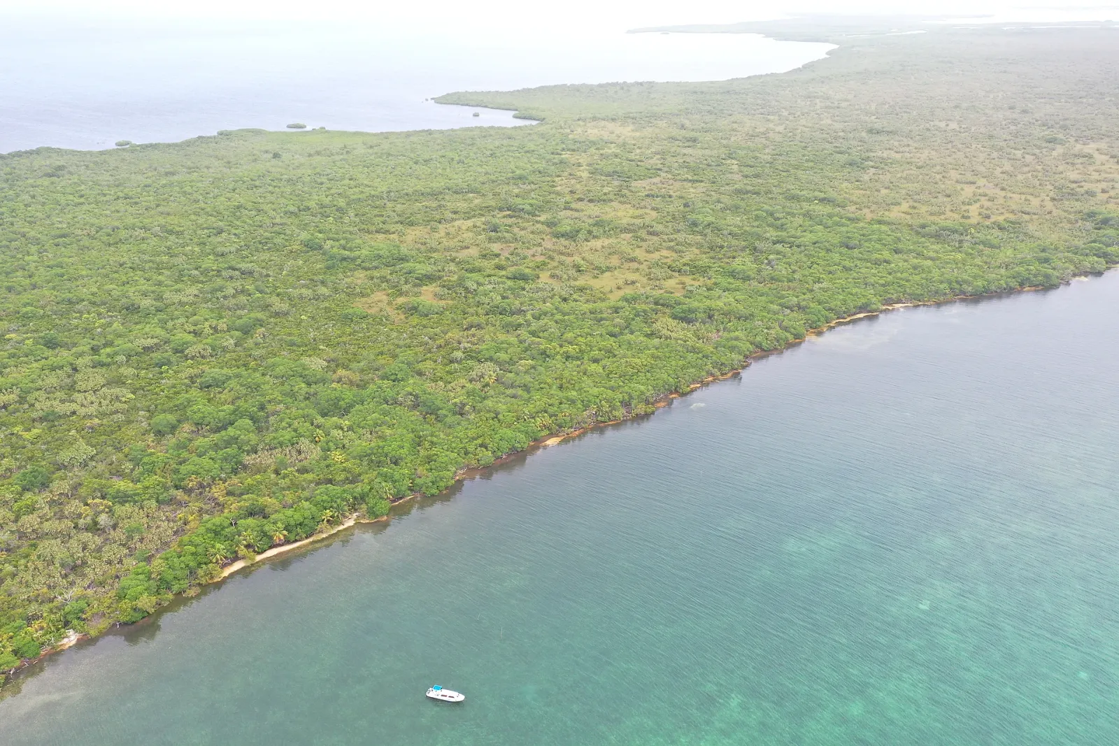 25.09 Acres with 448 ft Beachfront on Turneffe Atoll, Belize District