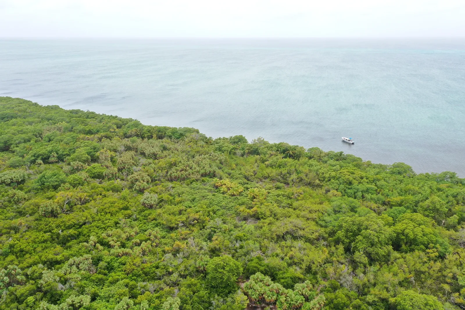 25.15 Acres with 500 ft Caribbean Frontage on Turneffe Atoll, Belize District