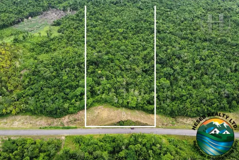 40-Acre Virgin Land on Southern Highway Near Lubaantun Ruins, Big Falls, Toledo