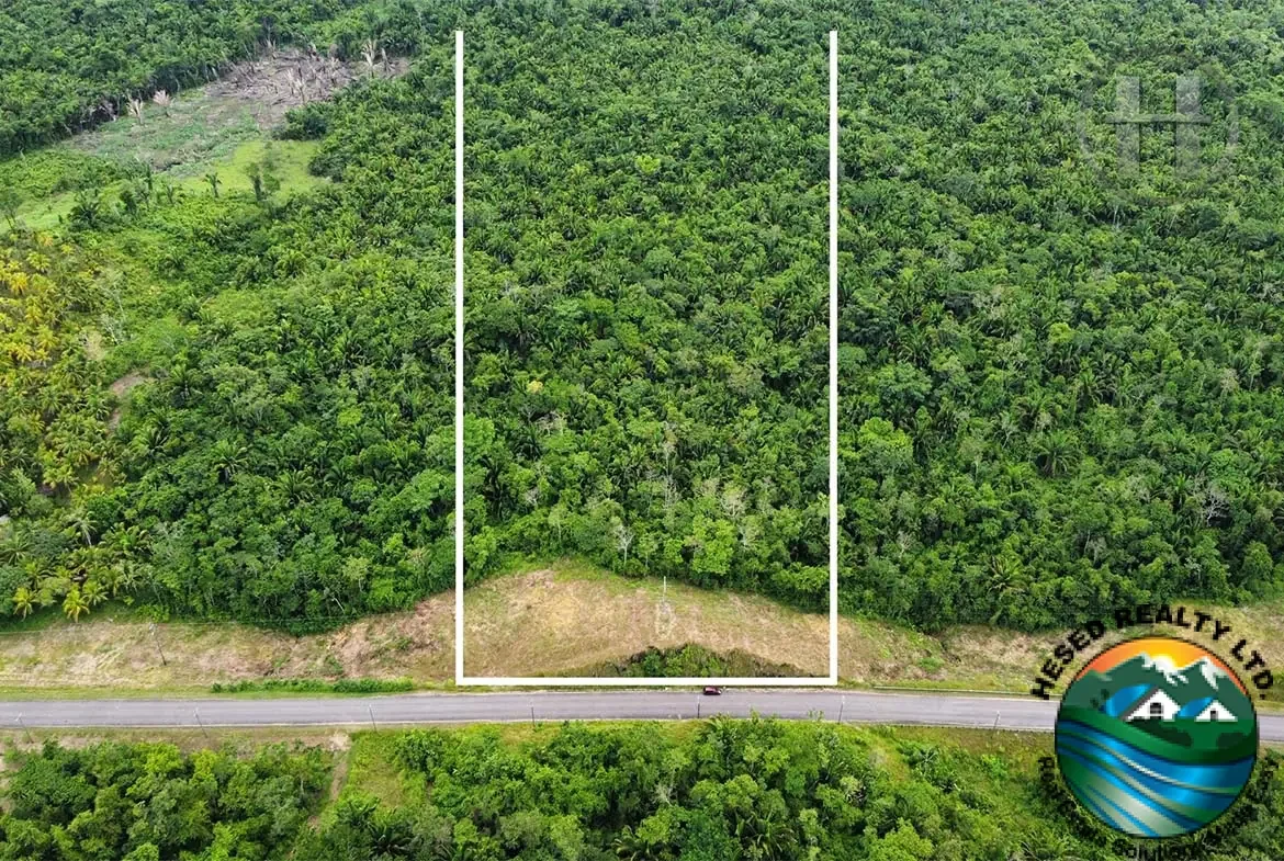 40-Acre Virgin Land on Southern Highway Near Lubaantun Ruins, Big Falls, Toledo