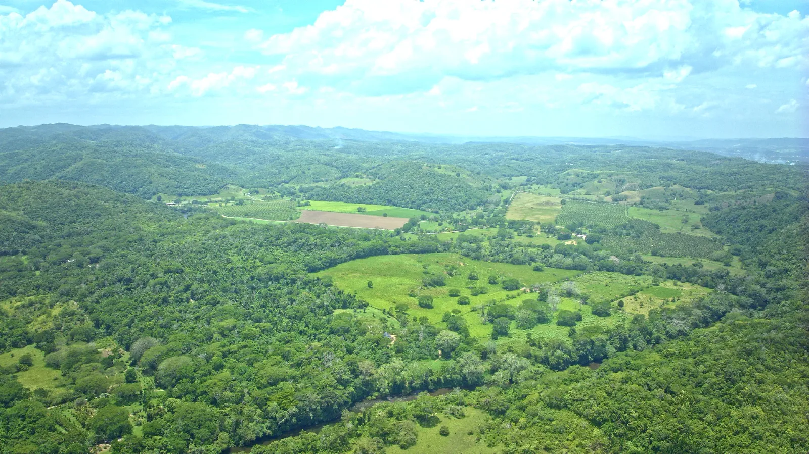 113-Acre Jungle Property Overlooking Macal River, near San Ignacio, Cayo