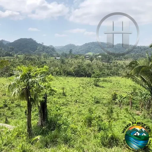 13.8-Acre Jungle Land with Hilltop Views off the Hummingbird Highway, Cayo