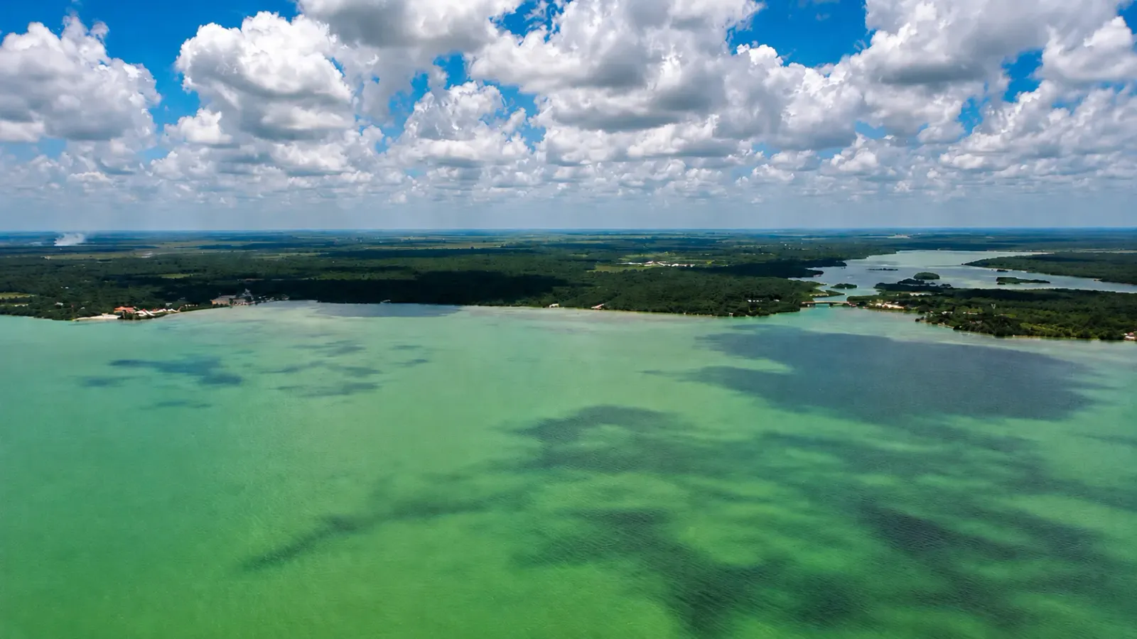 3 Beachfront Lots with 60 ft Sea Frontage Each in Lowry Bight, Corozal