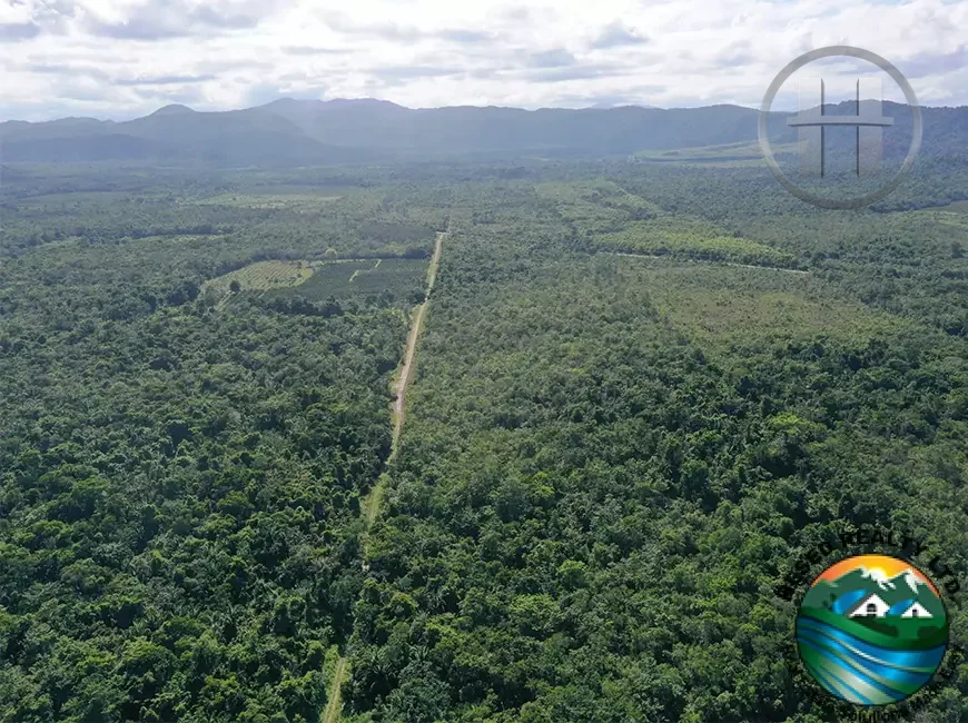 40 Acres of Flat Fertile Land near Hopkins Beach in Silk Grass Village, Stann Creek