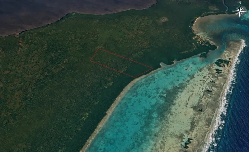 50.12-Acre Seafront Property on Turneffe Atoll, Belize