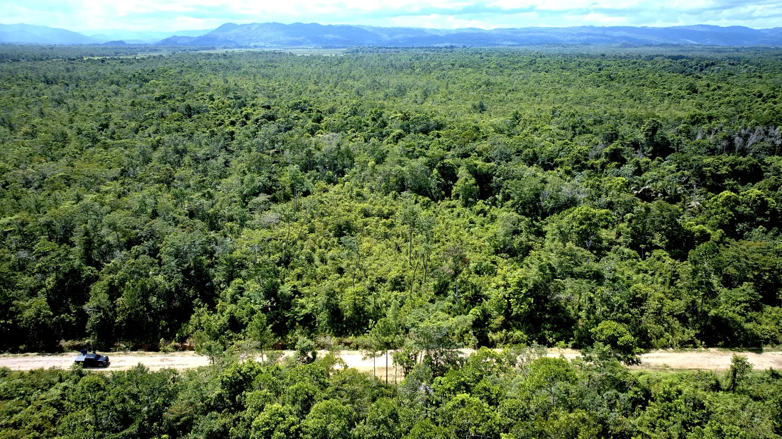 13.5 Acres Off-Grid Land for Sale in Hope Creek, Stann Creek