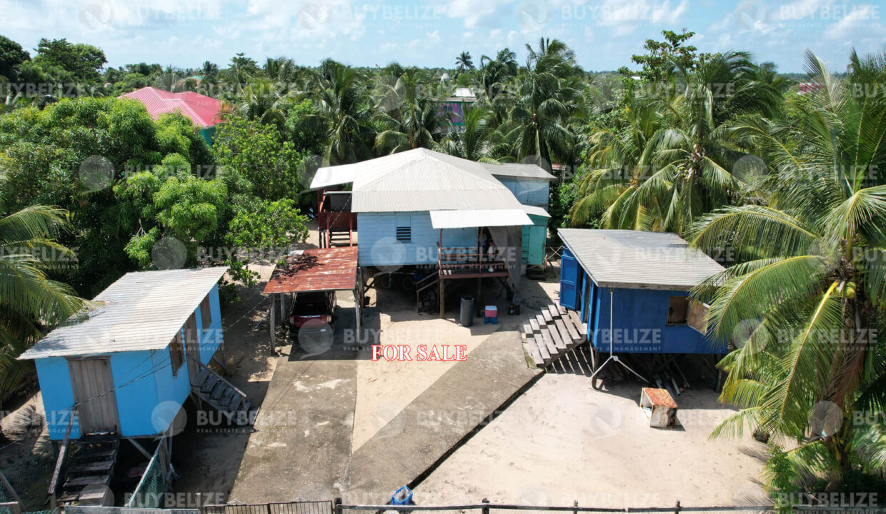House & Lot for Sale in the Center of Hopkins Village