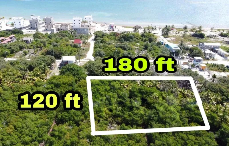 Huge Commercial Property On Caye Caulker North Side