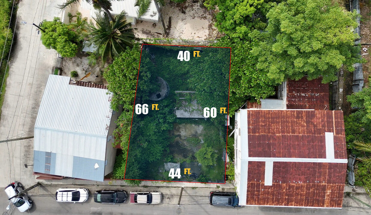 Investment Opportunity on New Road, Belize City