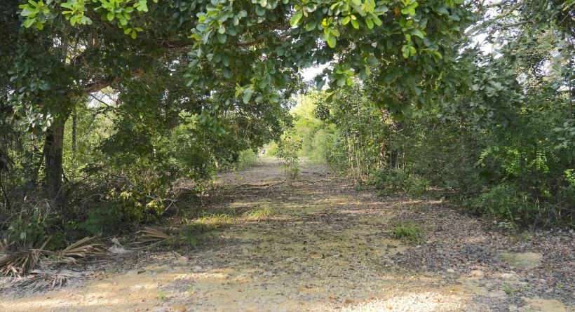 INVESTMENT OPPORTUNITY-Orchid Bay Lot 1106, 1/4 Mile(+/-) from the Caribbean Sea