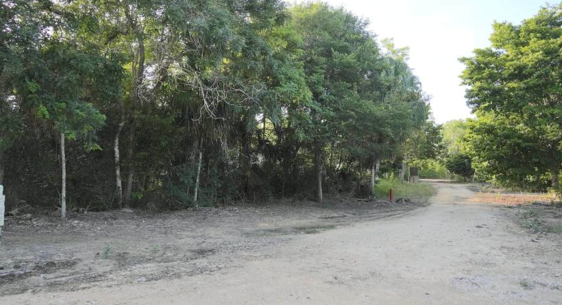 INVESTMENT OPPORTUNITY-Orchid Bay Lot 1143, 1/4 Mile(+/-) from the Caribbean Se