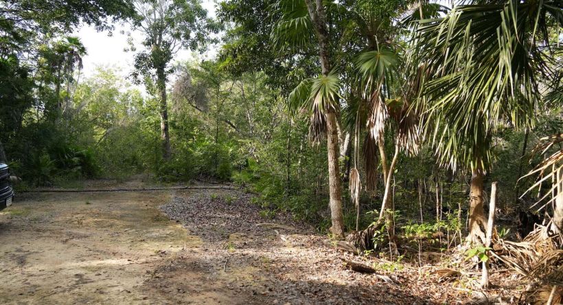 INVESTMENT OPPORTUNITY-Orchid Bay Lot 1156, 1/4 Mile(+/-) from the Caribbean Sea