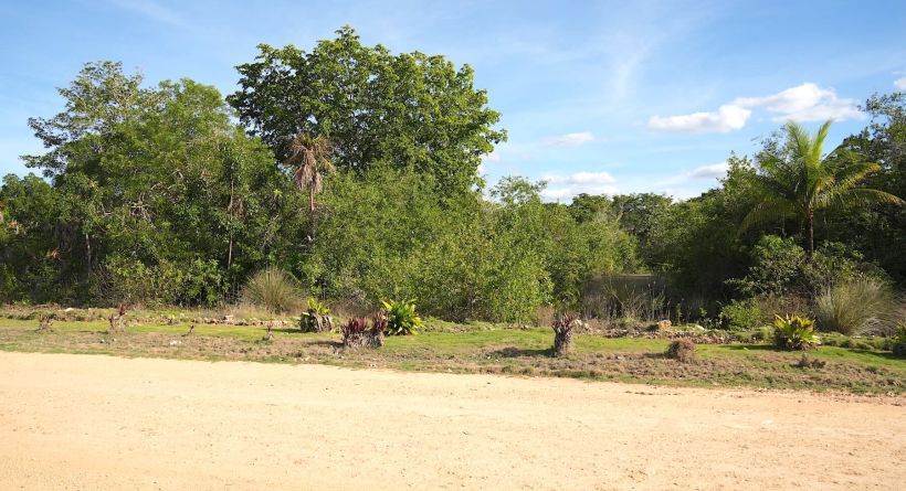 INVESTMENT OPPORTUNITY-Orchid Bay Lot 1211, 1/4 Mile(+/-) from the Caribbean Sea