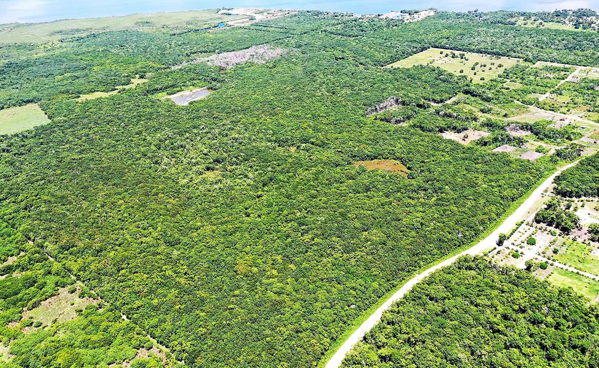 Investment Property/Farm Land/Ranches