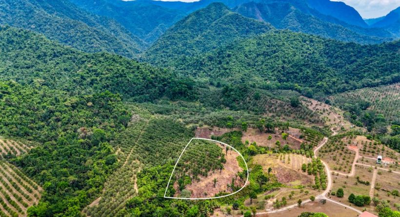 Itzamná Hills Lot 5, Sleeping Giant View Lot, 3.35 Acres with Creek Frontage