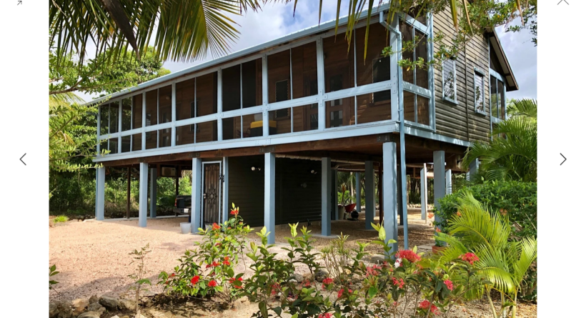 The Jaguar House