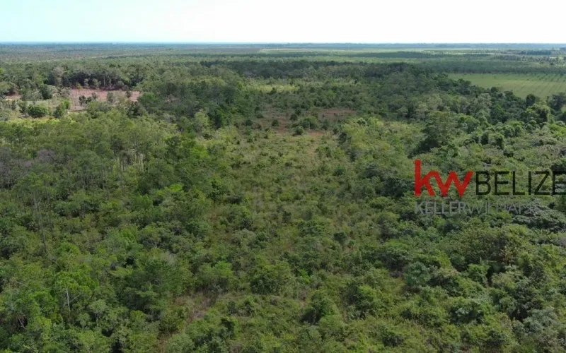 15 Acres Agricultural Land or Homestead