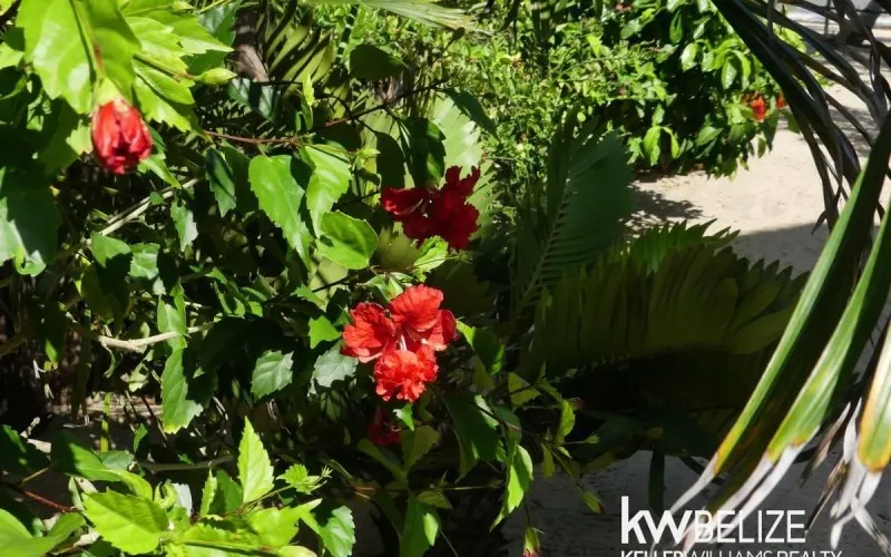 200 Placencia Road