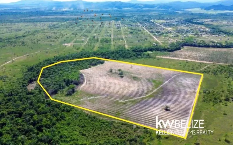 40-Acre Coconut Farm in Belize