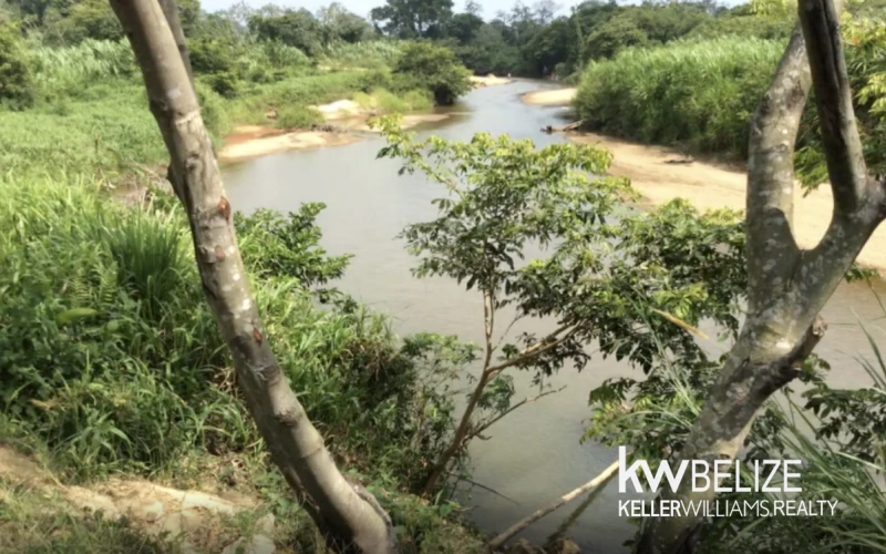 5 Acre Riverfront Property in Belize