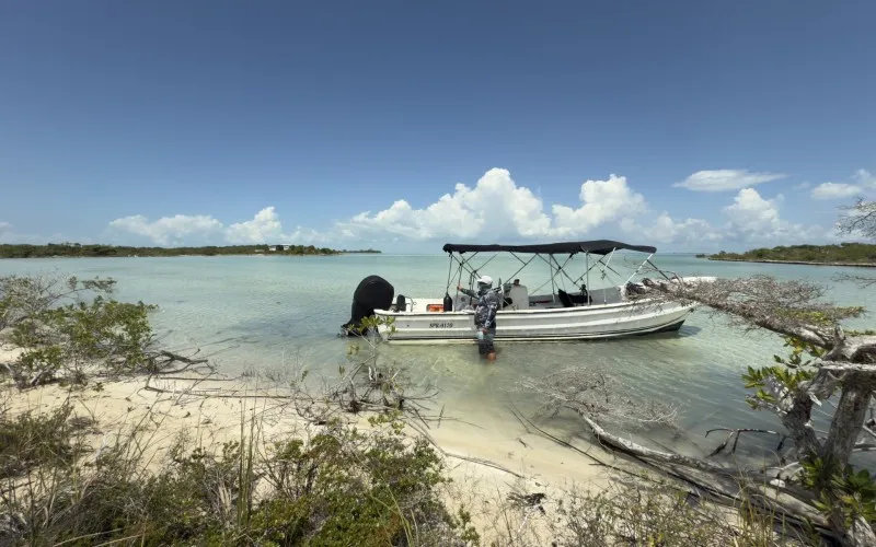 Beachfront Ambergris Bay Parcel 8716