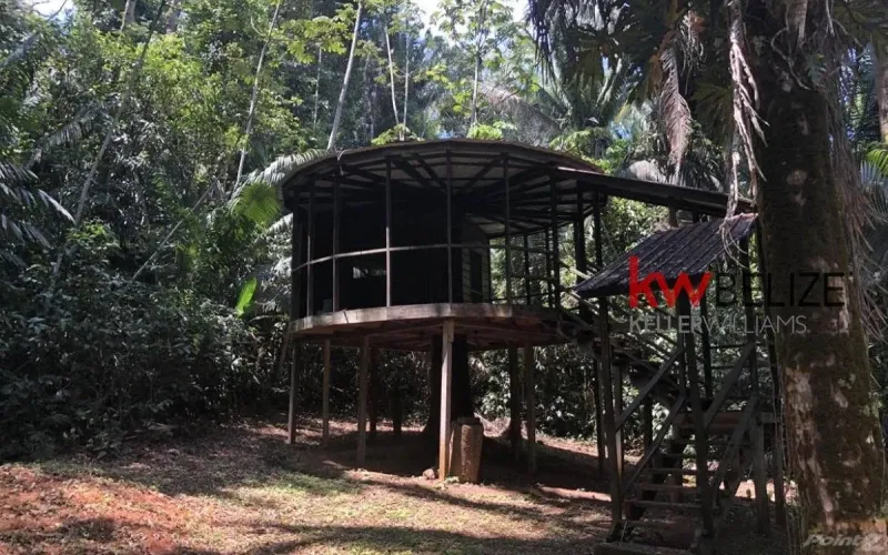 #Belize Lost World Jungle Resort Hummingbird Highway
