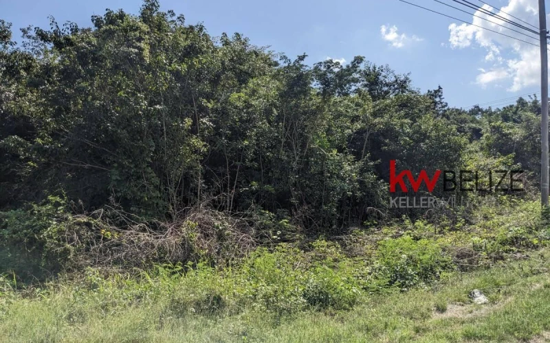#Lagoon Front Property on Northern Highway Corozal
