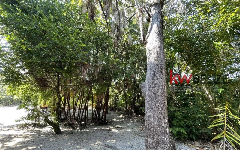Placencia Road