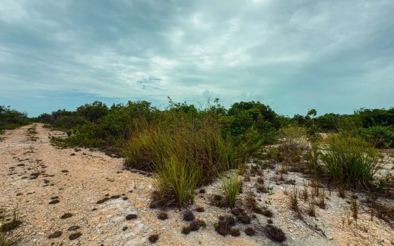 Prime Elevated Lot in Secret Beach – Parcel 8115