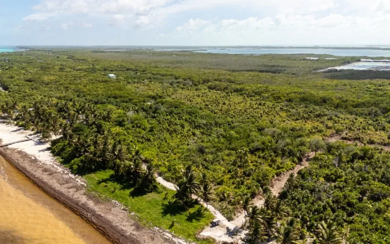 Rare Belize Beachfront Opportunity
