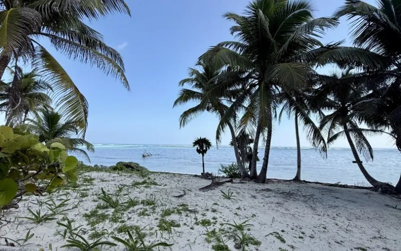 Stunning 150 ft Beachfront Property