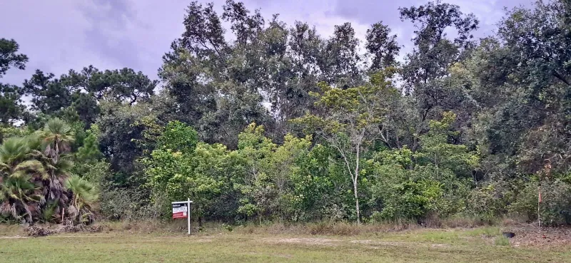1.09-Acre Parcel at Northridge Estates, Southern Belize