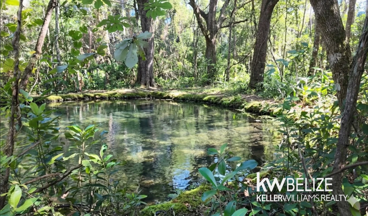 11-Acre Eco Property Near San Ignacio