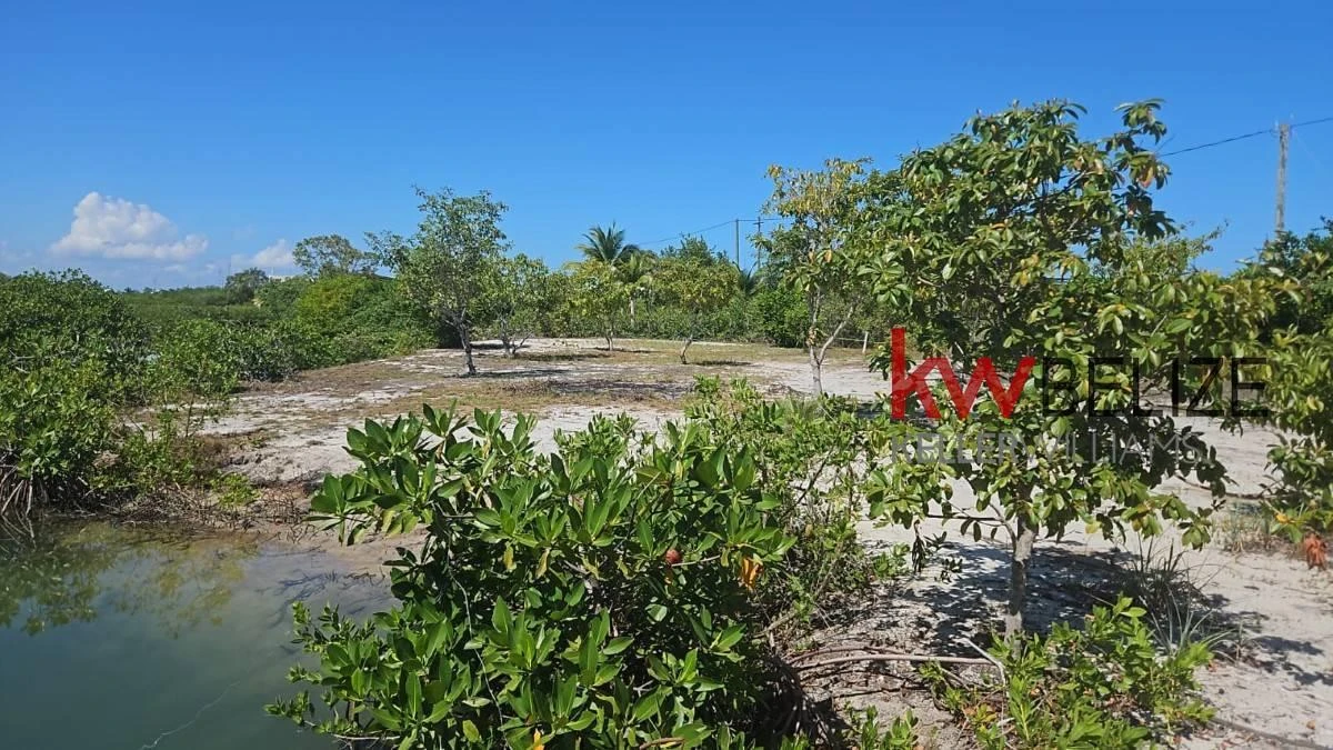 .19 Acre Waterfront Parcel with Mayan Mountain Views