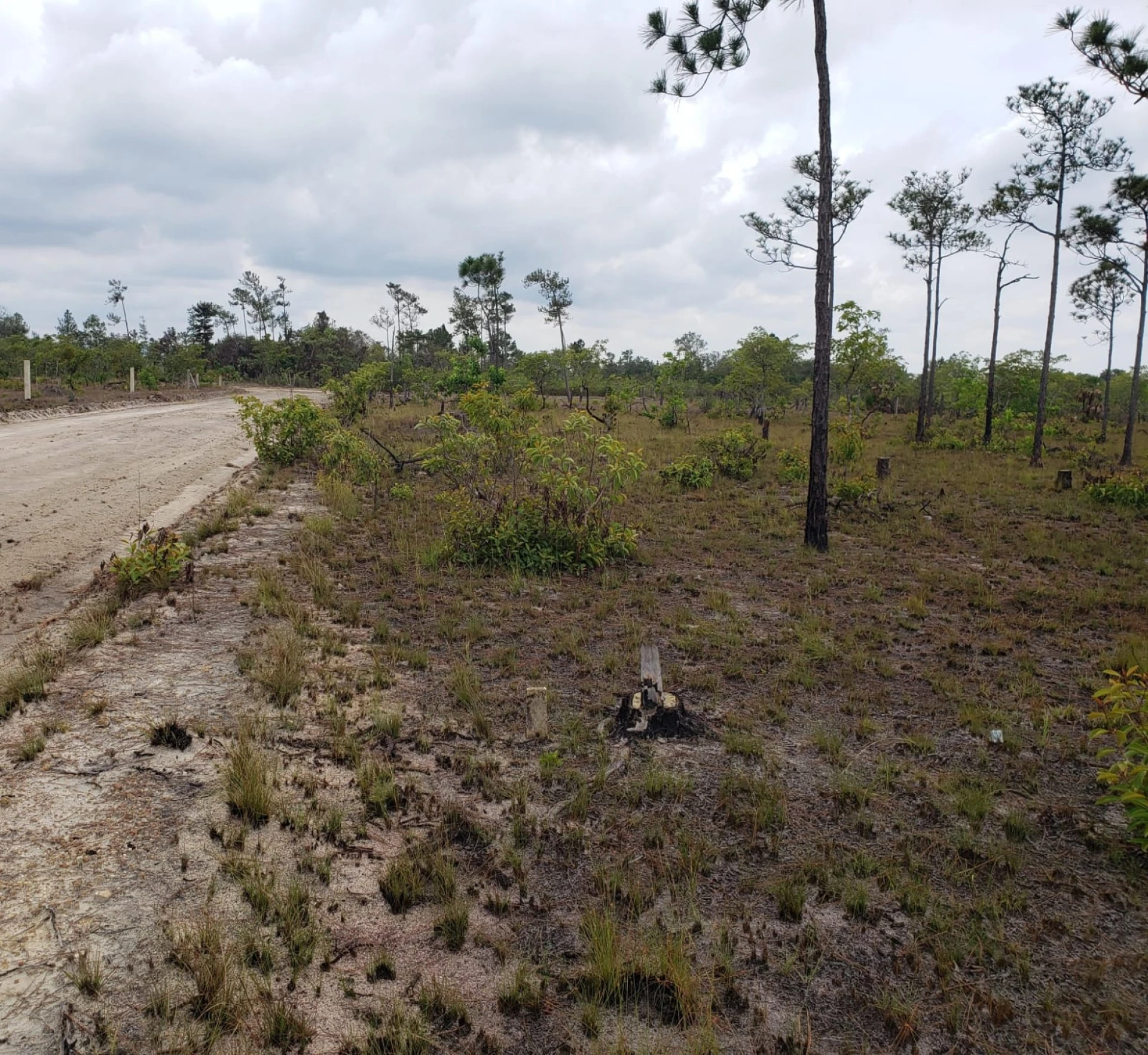 .22 Acre in Independence