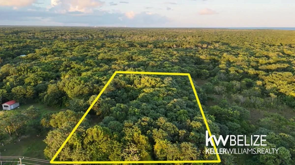 2.8 Acres Serenity Road Corozal