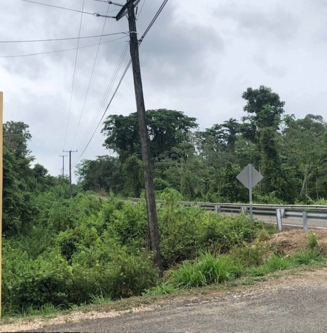 37 Acres on Humingbird Highway Cayo District